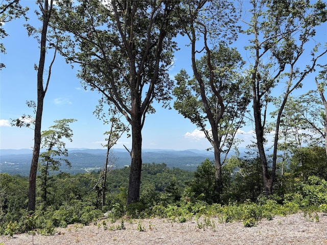 LOT50 Mountain Grove Ln Unit 50, Fletcher, NC 28732 - photo 13