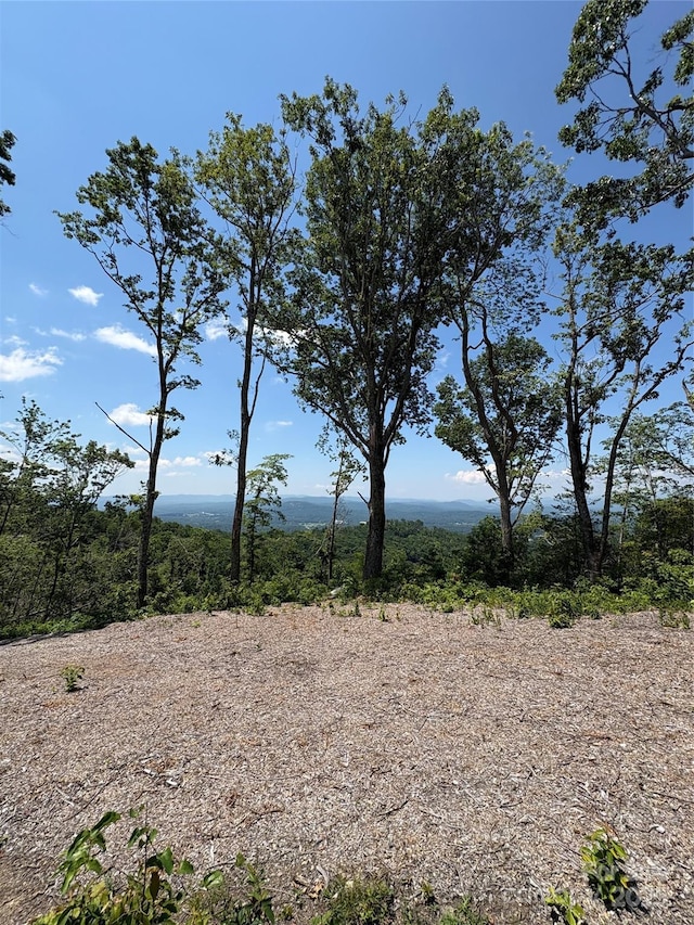 LOT50 Mountain Grove Ln Unit 50, Fletcher, NC 28732 - photo 14