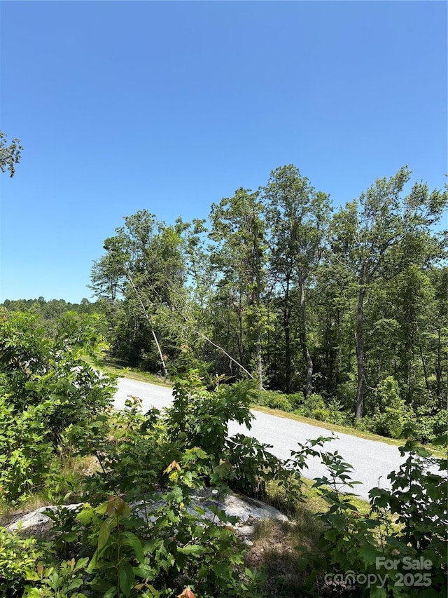 LOT50 Mountain Grove Ln Unit 50, Fletcher, NC 28732 - photo 15