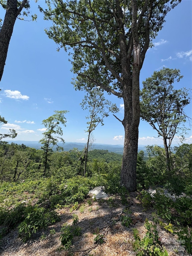 LOT50 Mountain Grove Ln Unit 50, Fletcher, NC 28732 - photo 16