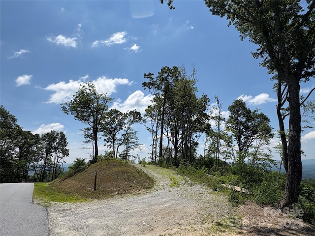 LOT50 Mountain Grove Ln Unit 50, Fletcher, NC 28732 - photo 17
