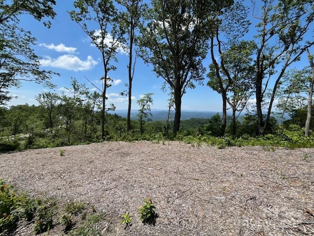 LOT50 Mountain Grove Ln Unit 50, Fletcher, NC 28732 - photo 20