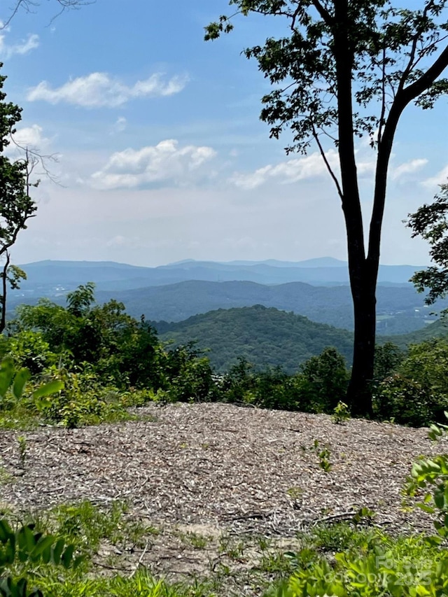 LOT50 Mountain Grove Ln Unit 50, Fletcher, NC 28732 - photo 21
