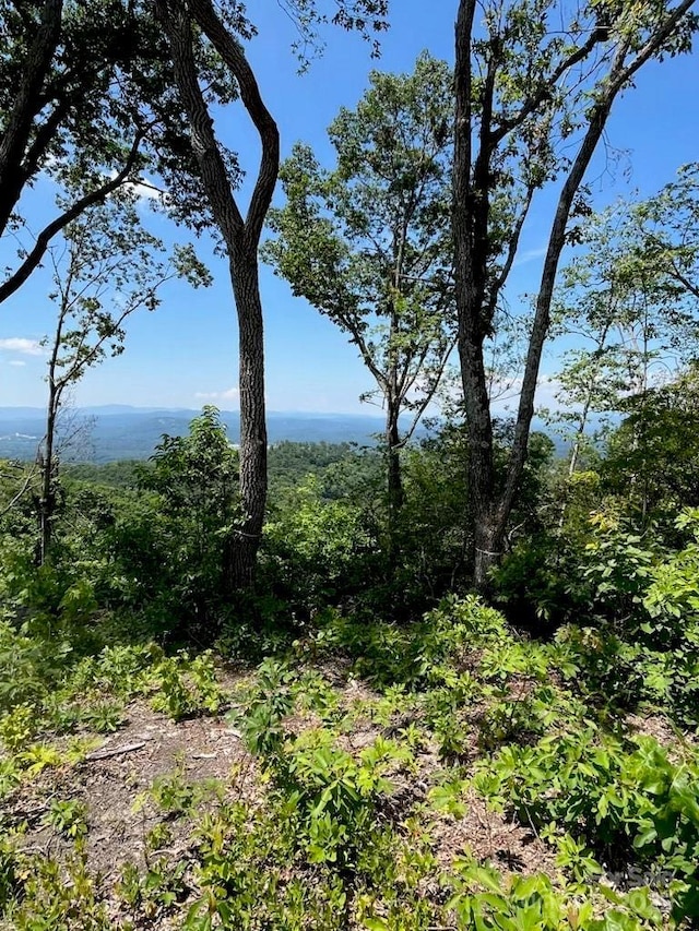 LOT50 Mountain Grove Ln Unit 50, Fletcher, NC 28732 - photo 22