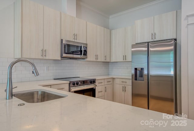 155 Collin Pl Unit 17, Asheville, NC 28804 - photo 6