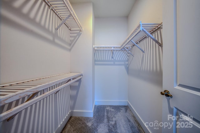 155 Collin Pl Unit 17, Asheville, NC 28804 - photo 10