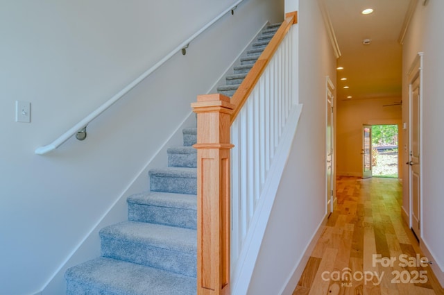 155 Collin Pl Unit 17, Asheville, NC 28804 - photo 12