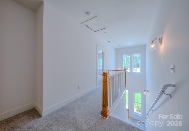 155 Collin Pl Unit 17, Asheville, NC 28804 - photo 11