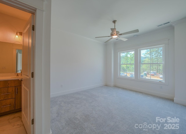 155 Collin Pl Unit 17, Asheville, NC 28804 - photo 8