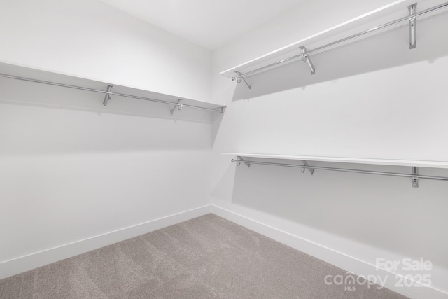 2522 Elkwood Cir, Charlotte, NC 28205 - photo 13