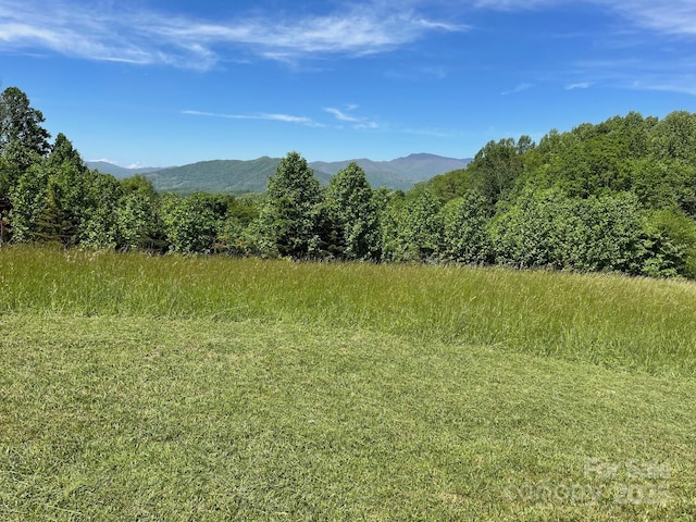 999 Chestnut Mountain Dr, Green Mountain, NC 28740 - photo 1