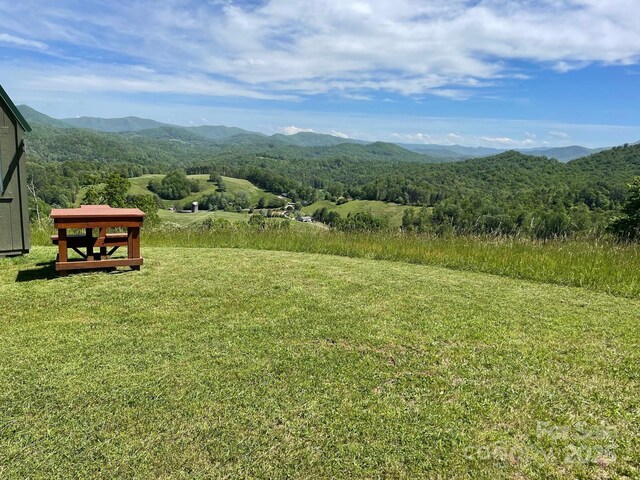 999 Chestnut Mountain Dr, Green Mountain, NC 28740 - photo 14