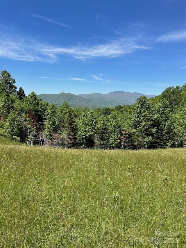 999 Chestnut Mountain Dr, Green Mountain, NC 28740 - photo 26