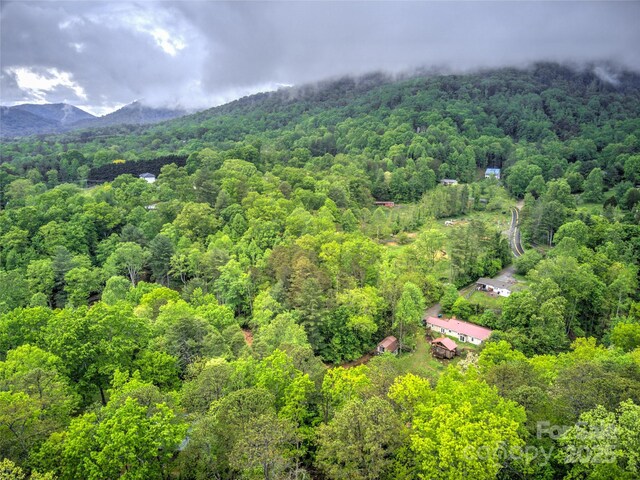 731 Old Fort Rd, Fairview, NC 28730 - aerial view of a forest and a mountain backdrop