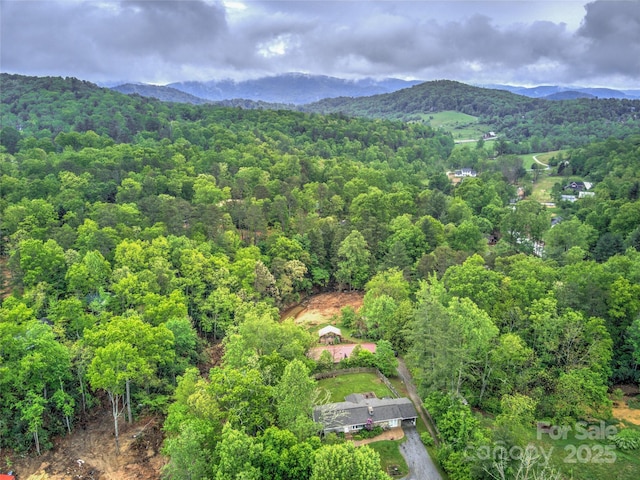 731 Old Fort Rd, Fairview, NC 28730 - aerial view of a forest and mountains
