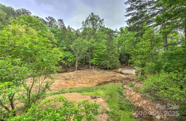731 Old Fort Rd, Fairview, NC 28730 - view of tree filled area
