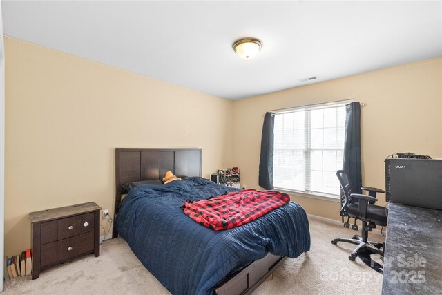 111 Harris Farm Rd, Mooresville, NC 28115 - photo 36