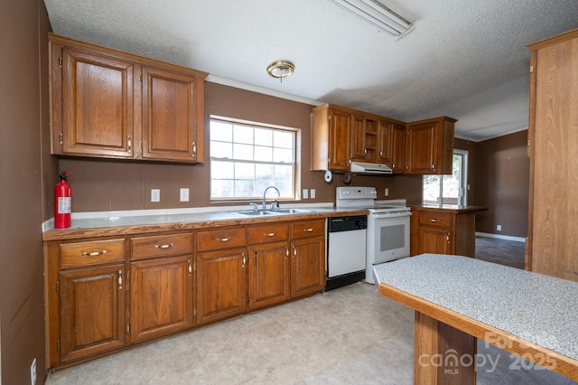 6 Wisteria Ct, Asheville, NC 28806 - photo 8