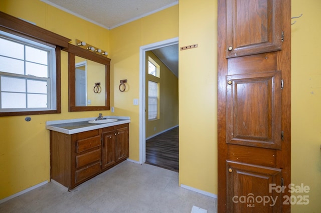 6 Wisteria Ct, Asheville, NC 28806 - photo 18