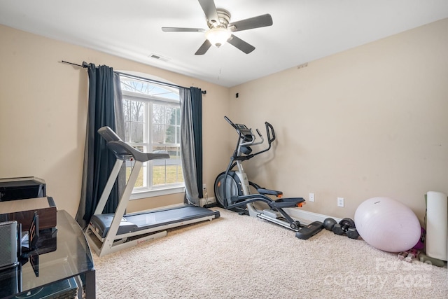 1263 Waterford Dr, Hickory, NC 28602 - workout area with carpet floors, ceiling fan, and baseboards
