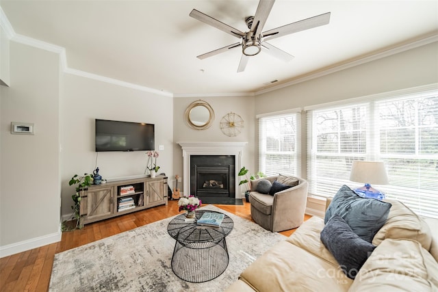 living area featuring hardwood / wood-style floors, a ceiling fan, visible vents, baseboards, and ornamental molding