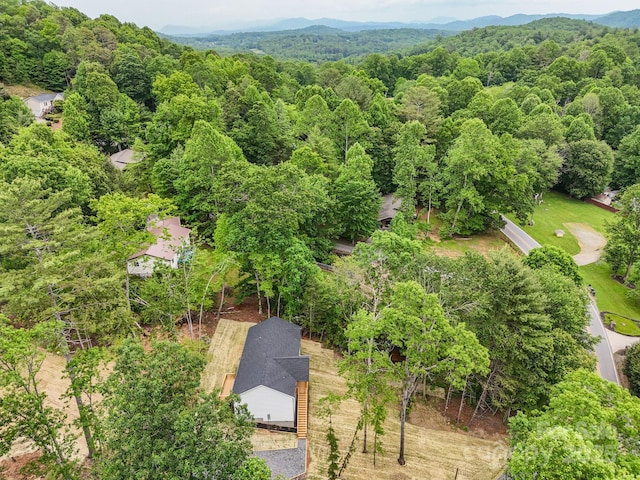 2506 Turnpike Rd, Horse Shoe, NC 28742 - view from above of property featuring a forest