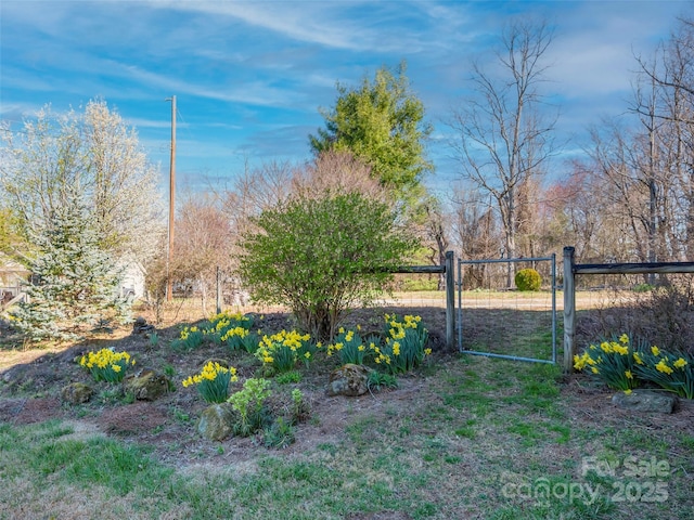 367 Cresent St, Saluda, NC 28773 - photo 37