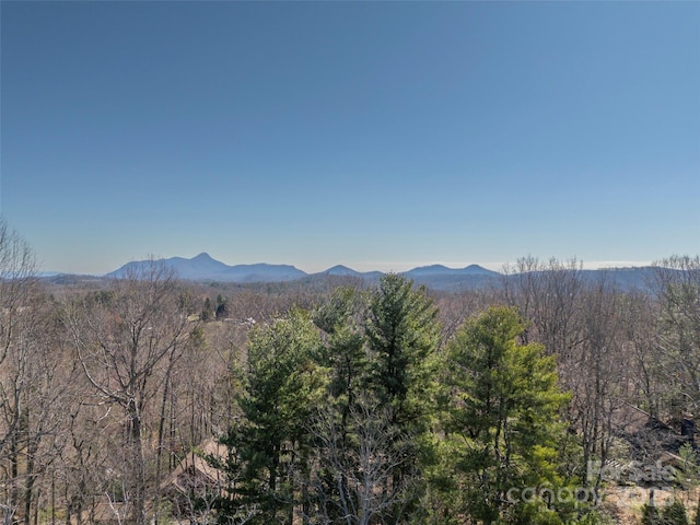 367 Cresent St, Saluda, NC 28773 - photo 41