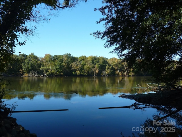 property view of water featuring a forest view