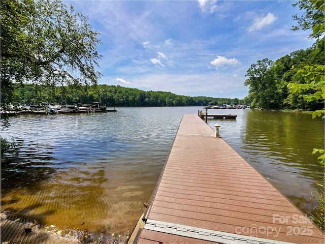 8212 Merryvale Ln, Charlotte, NC 28214 - dock featuring a water view and a view of trees