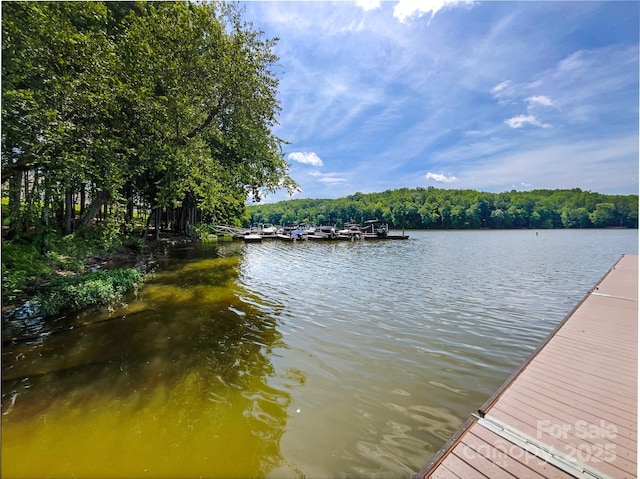 8212 Merryvale Ln, Charlotte, NC 28214 - dock area with a water view
