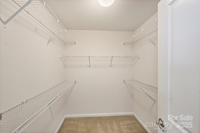 walk in closet featuring light carpet