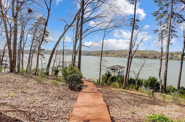 4633 River Bluff Ct, Charlotte, NC 28214 - exterior space with a water view