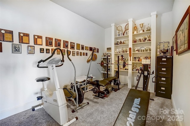 4633 River Bluff Ct, Charlotte, NC 28214 - exercise area featuring carpet flooring and baseboards