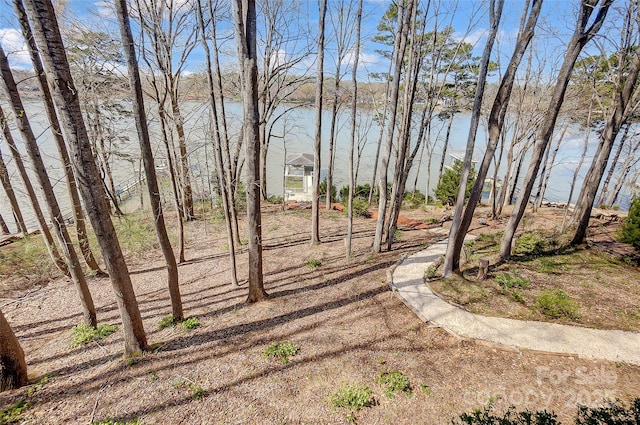 4633 River Bluff Ct, Charlotte, NC 28214 - view of yard featuring a water view
