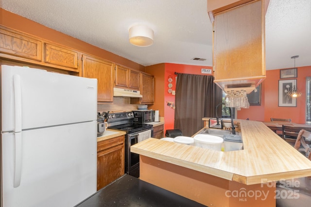 8175 Cedar Glen Dr, Charlotte, NC 28212 - kitchen featuring electric range, visible vents, under cabinet range hood, a sink, and freestanding refrigerator