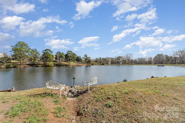 8175 Cedar Glen Dr, Charlotte, NC 28212 - property view of water