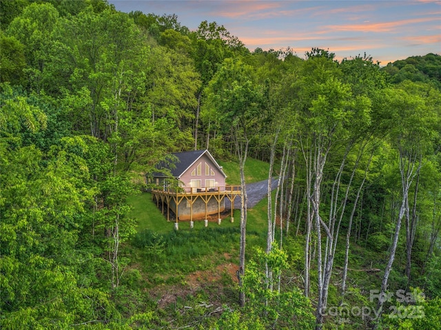 145 Banjo Ln, Waynesville, NC 28785 - water view featuring a heavily wooded area