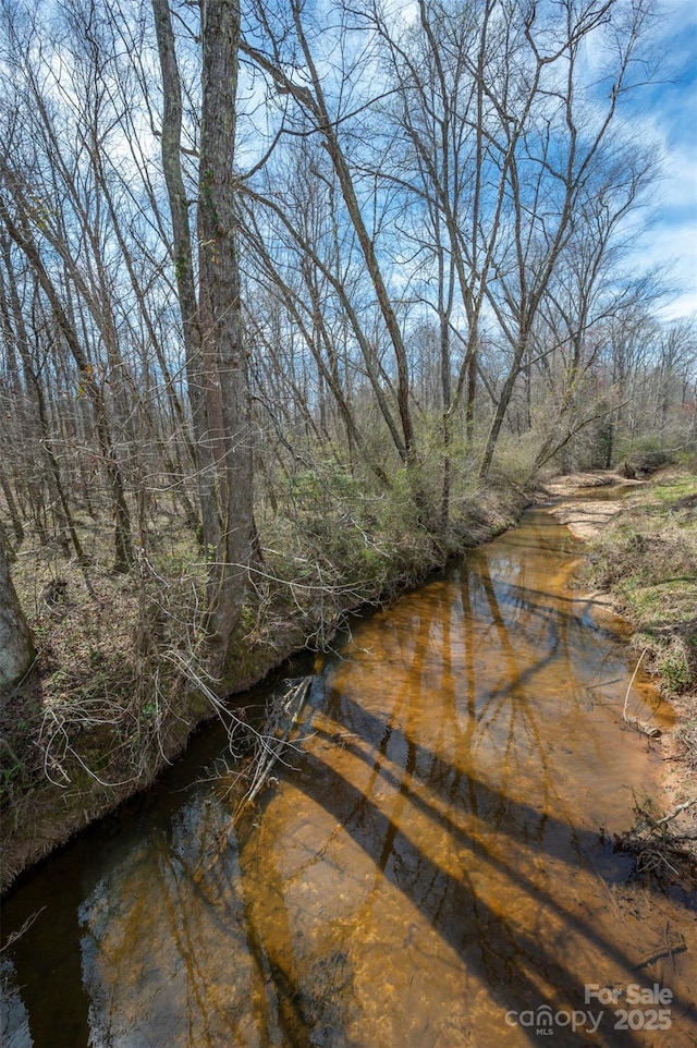 property view of water with a forest view