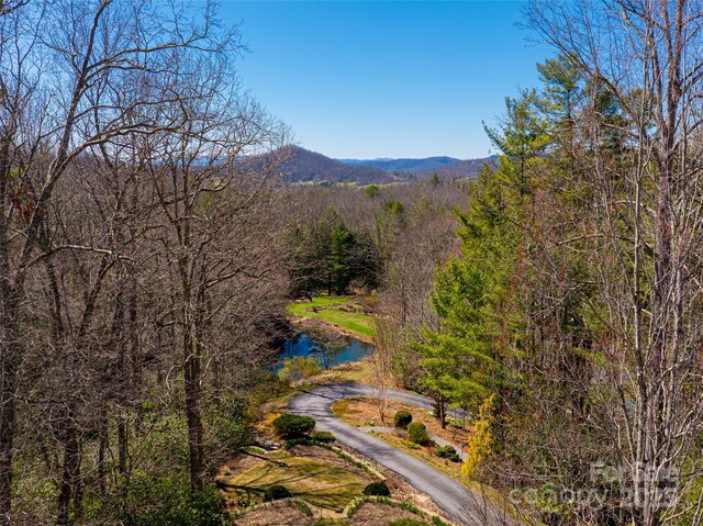 mountain view featuring a forest view