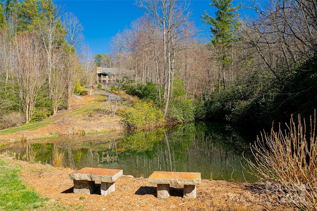 view of yard featuring a water view and a forest view