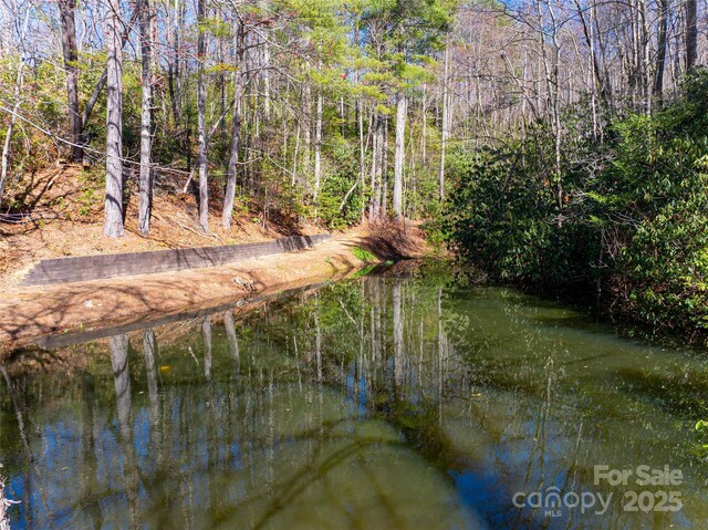 view of water feature featuring a forest view