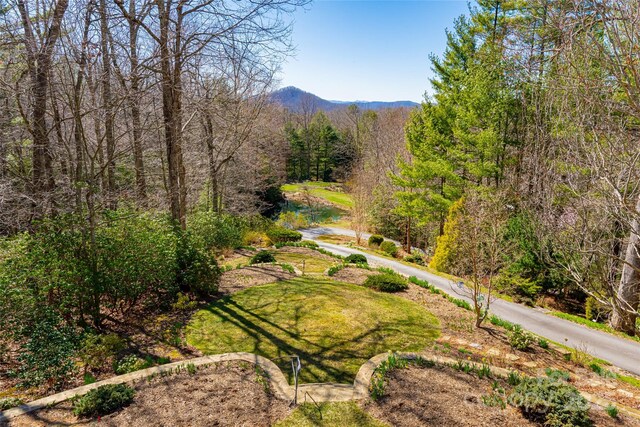 view of property's community with a mountain view and a forest view