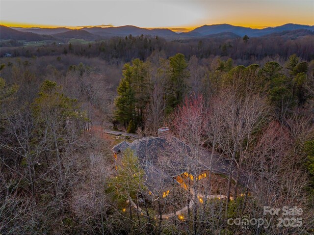 mountain view featuring a forest view