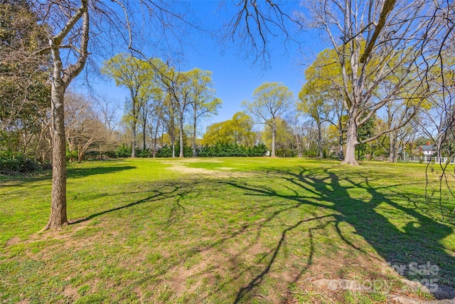 121 N Congress St, York, SC 29745 - photo 43