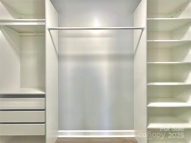 spacious closet featuring wood finished floors