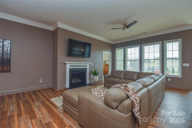 1638 Sweetmoss Loop, Denver, NC 28037 - living room with ceiling fan, light wood finished floors, ornamental molding, and a fireplace with flush hearth