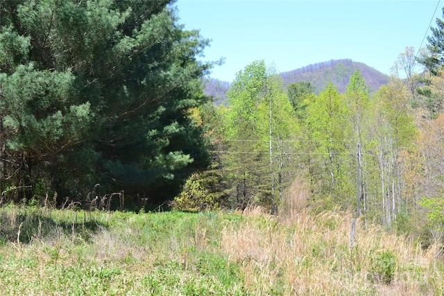 00 Swaringen Rd, Traphill, NC 28685
