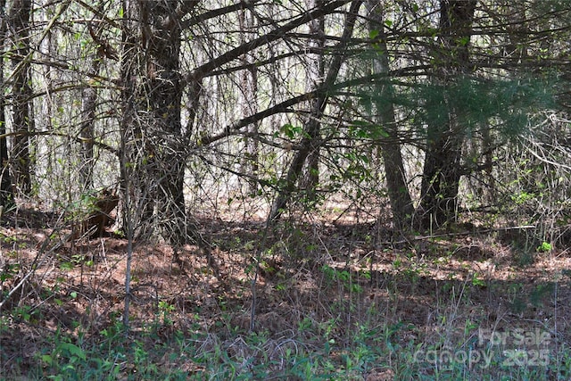 00 Swaringen Rd, Traphill, NC 28685
