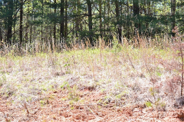 00 Swaringen Rd, Traphill, NC 28685